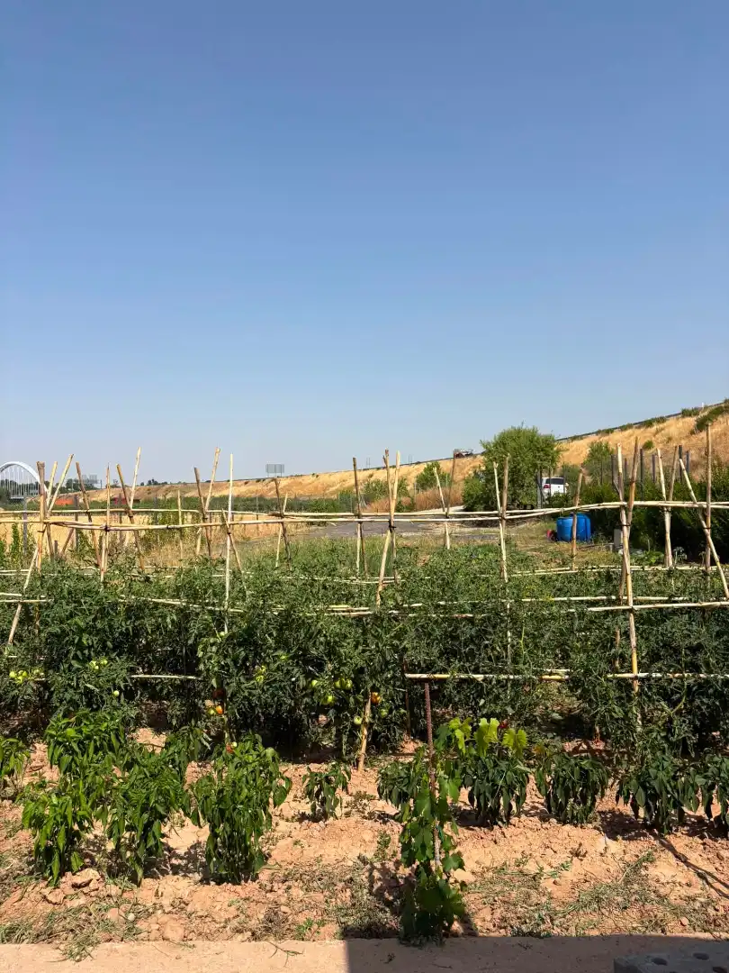Terreno rústico en venta en La Portalada - Varea, imagen 8