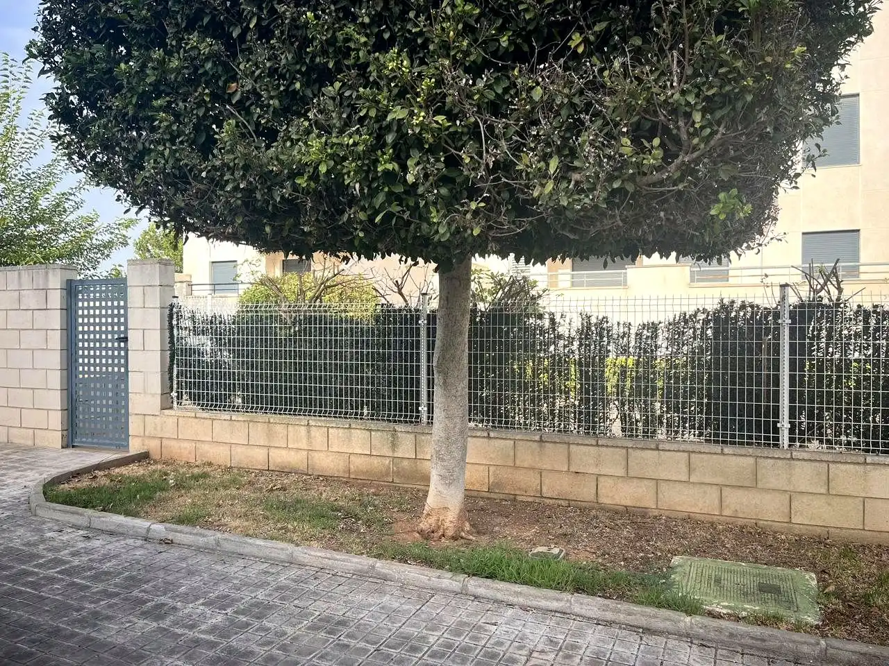 Rez-de-chaussée avec ascenseur à vendre à Calle Sevilla, imagen 3