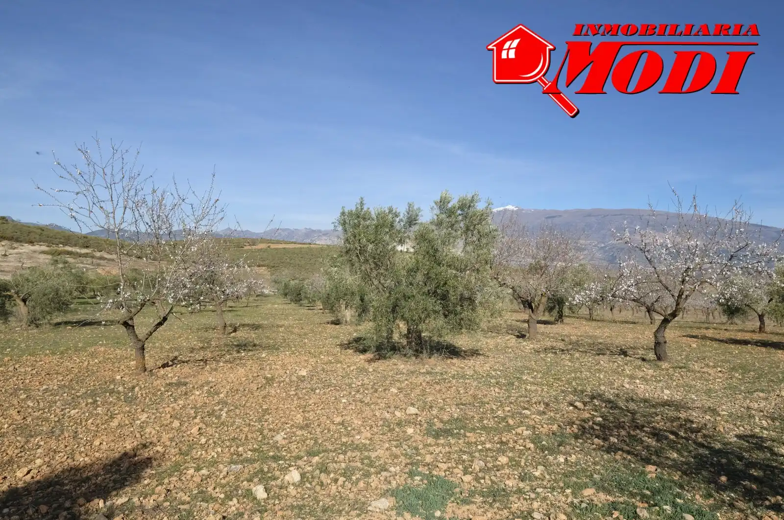 Terreni e lotti in vendita a El Valle, imagen 27