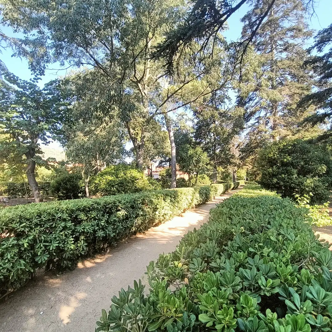 Jardín de Residencial en venta en Sallent