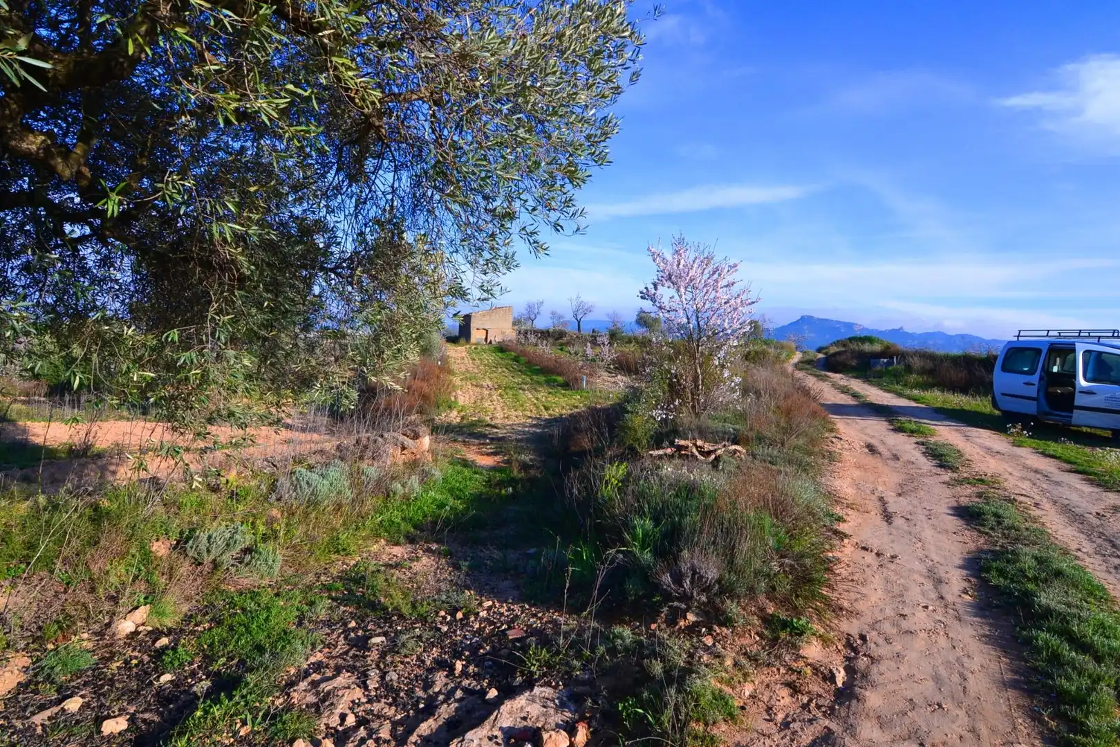 Rural land for sale in Gandesa, imagen 14