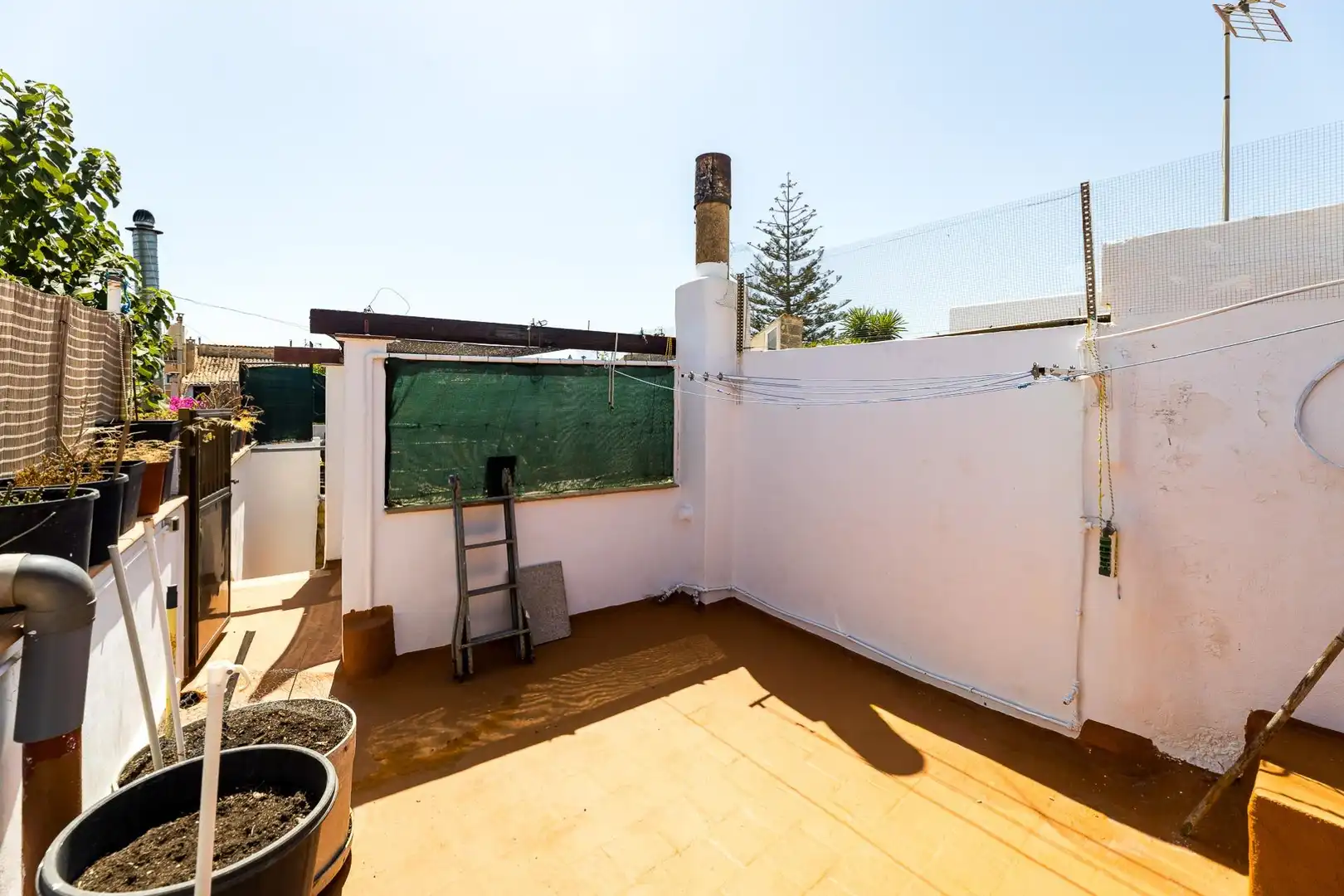 House with garden for sale in Llucmajor pueblo, imagen 33