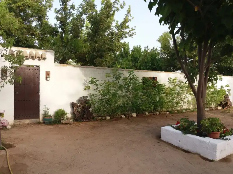 Garten von Country house zum Verkauf in Lucena mit Terrasse