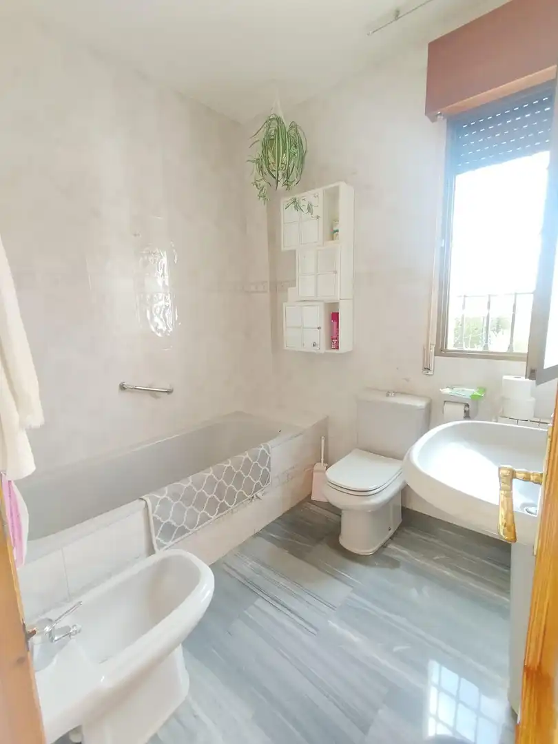 Chalet con piscina en venta en Calle de la Adelfa, imagen 62