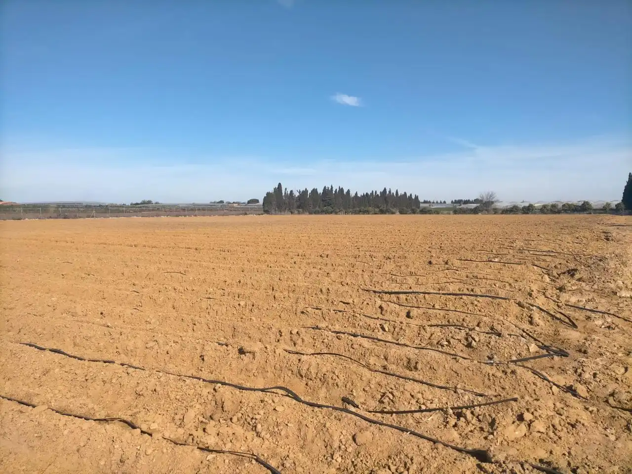 Terreni e lotti in vendita a La Loma Baja, imagen 6