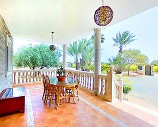 Terrace of House or chalet for sale in Elche / Elx  with Terrace