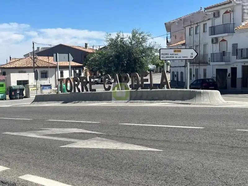 Haus zum Verkauf in Jaen, imagen 12