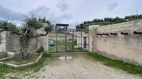 Photo 2 of House or chalet for sale in Pd Borrajo  Polígono 5 Parcela \1. Alhaurin el Gra, -1, Centro, Alhaurín El Grande