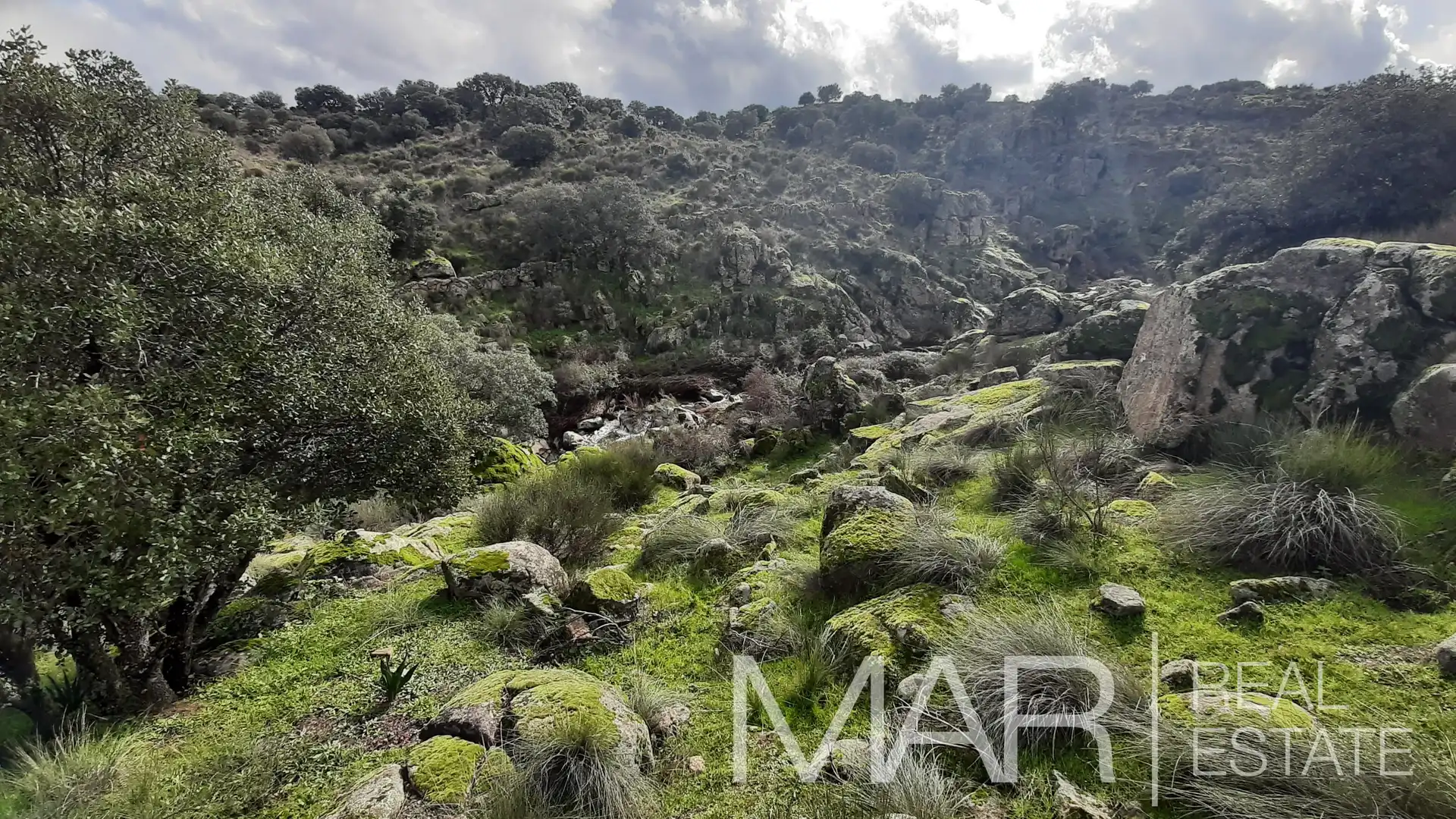 Terreni e lotti in vendita a Villar del Pedroso, imagen 43