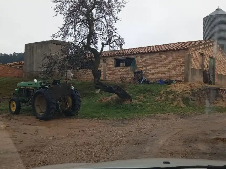 Rural land for sale in Carrer de Freginals 0, imagen 16
