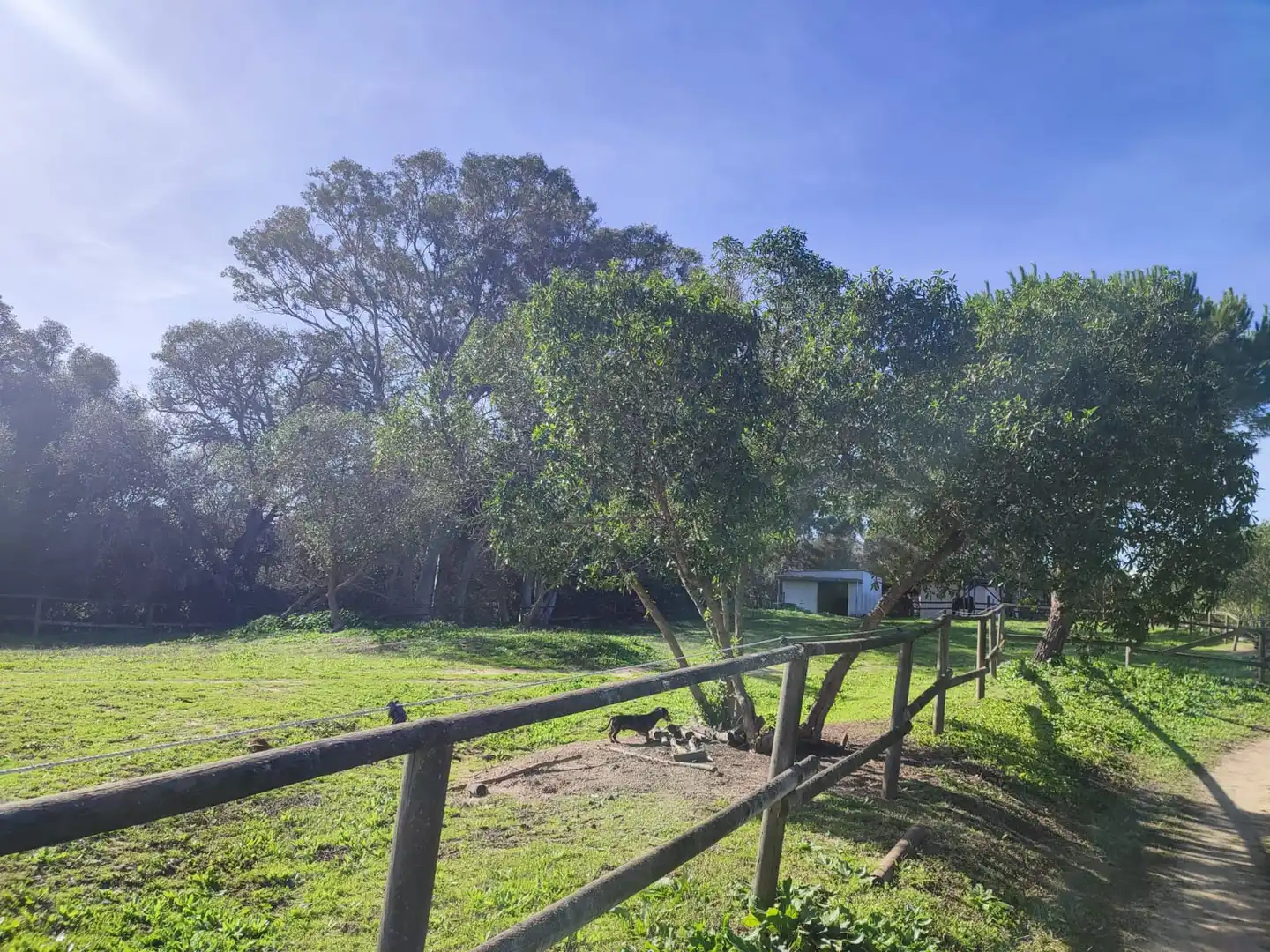 Haus oder Chalet zum Verkauf in Vejer de la Frontera mit Heizung, Privatgarten und Parkett