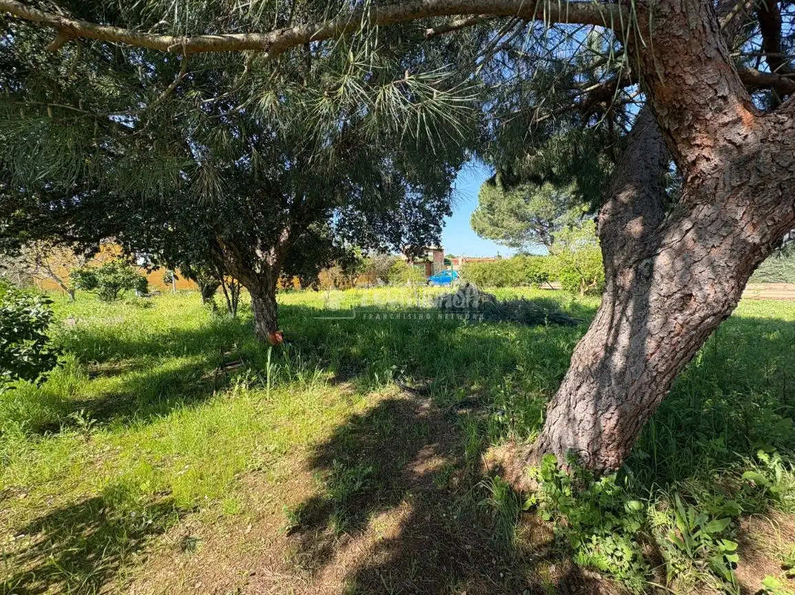 Terreno en venta en Táliga