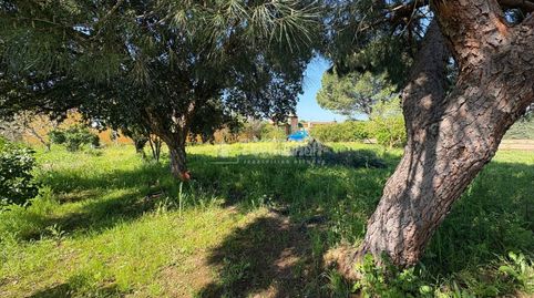 Foto 2 de Terreny en venda a Táliga, Badajoz