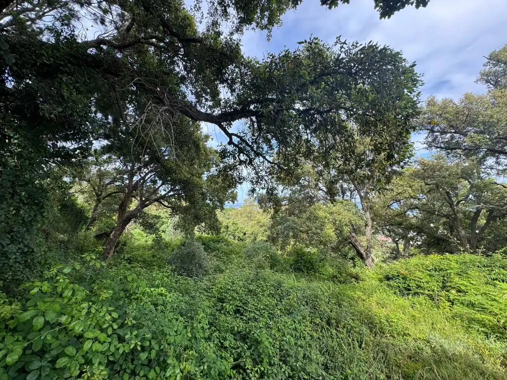 Terreno en venta en Algeciras