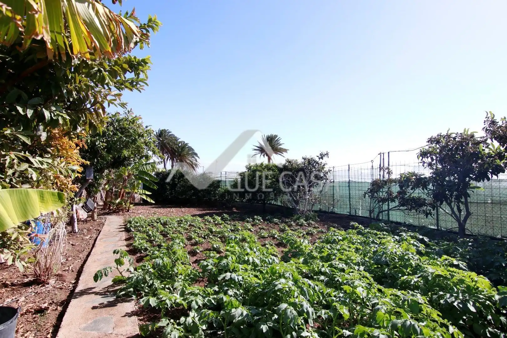 Rural land for sale in Sequero, imagen 3