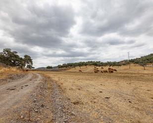 Finca rústica en venda a Cañaveral de León