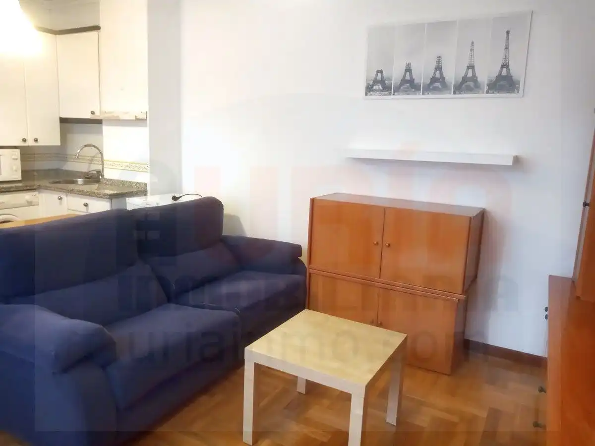Sala d'estar de Apartament de lloguer en Oviedo  amb Calefacció, Parquet i Moblat