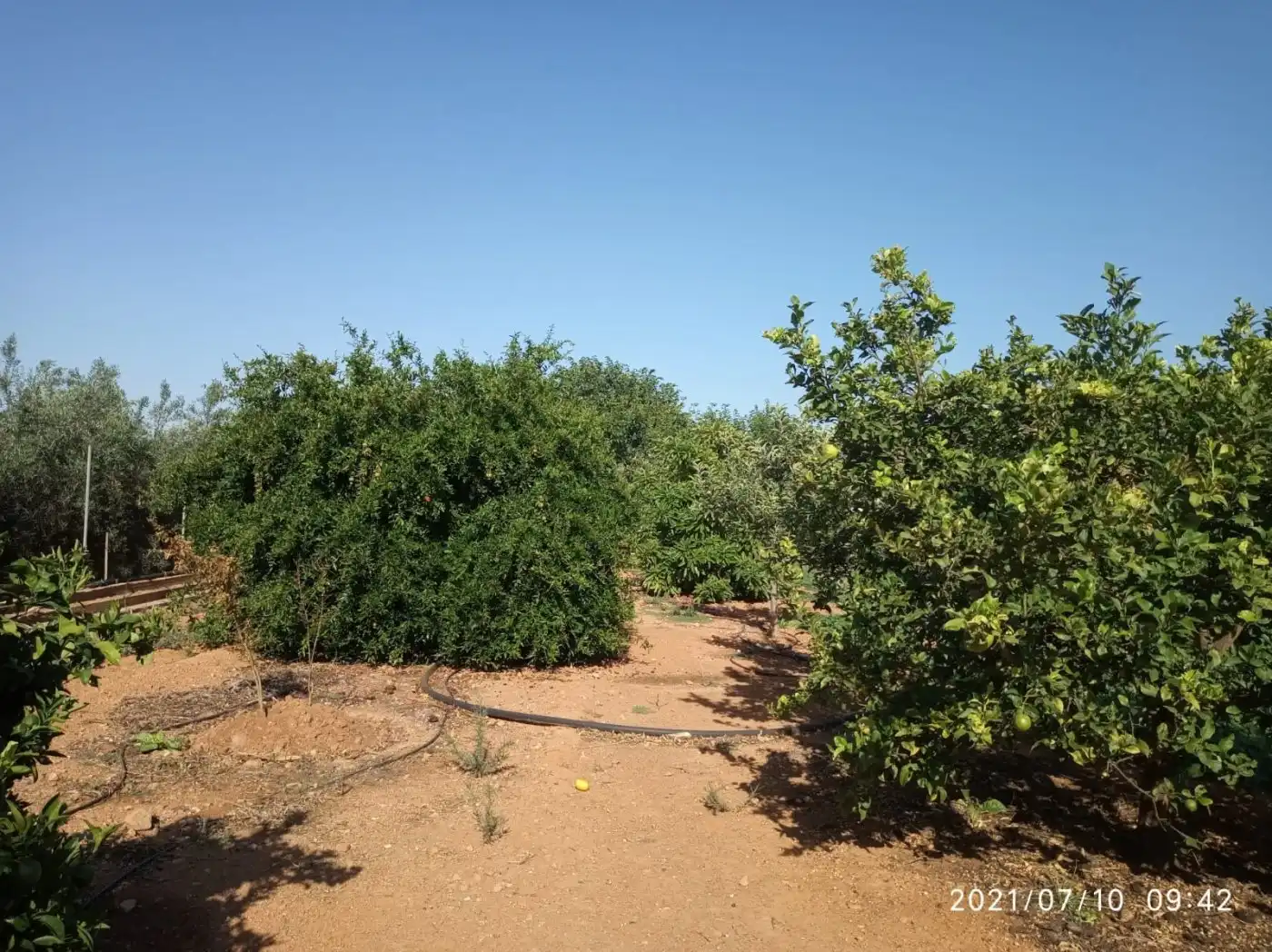 Terreny rústic en venda a Norte, imagen 17