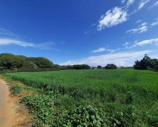 Land for sale in Conil de la Frontera