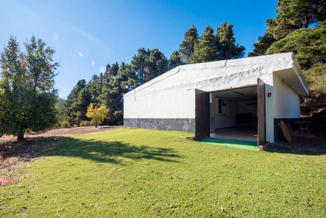 Finca rústica en Venta en Tejeda