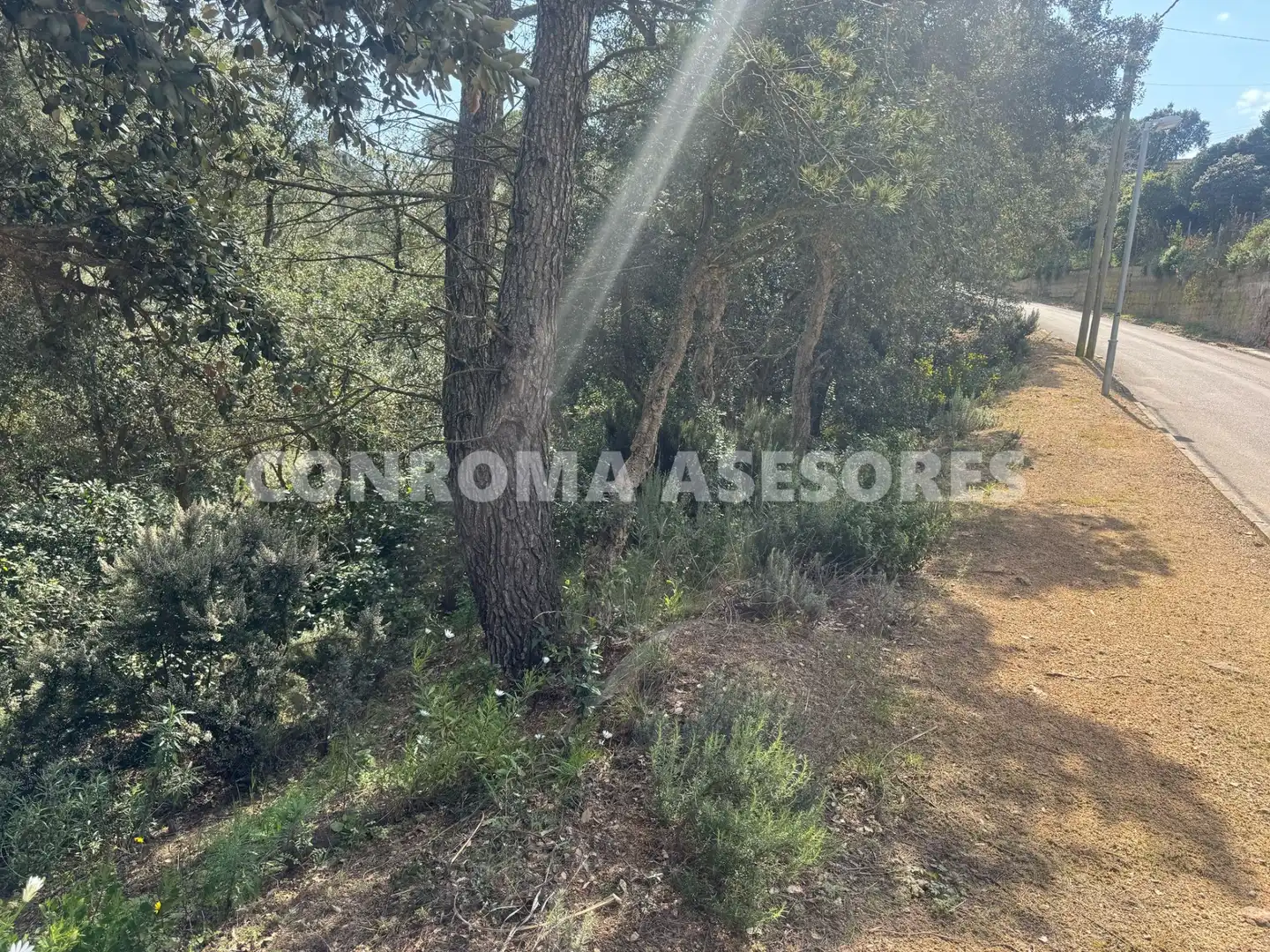 Residential land for sale in Serra Brava, imagen 8