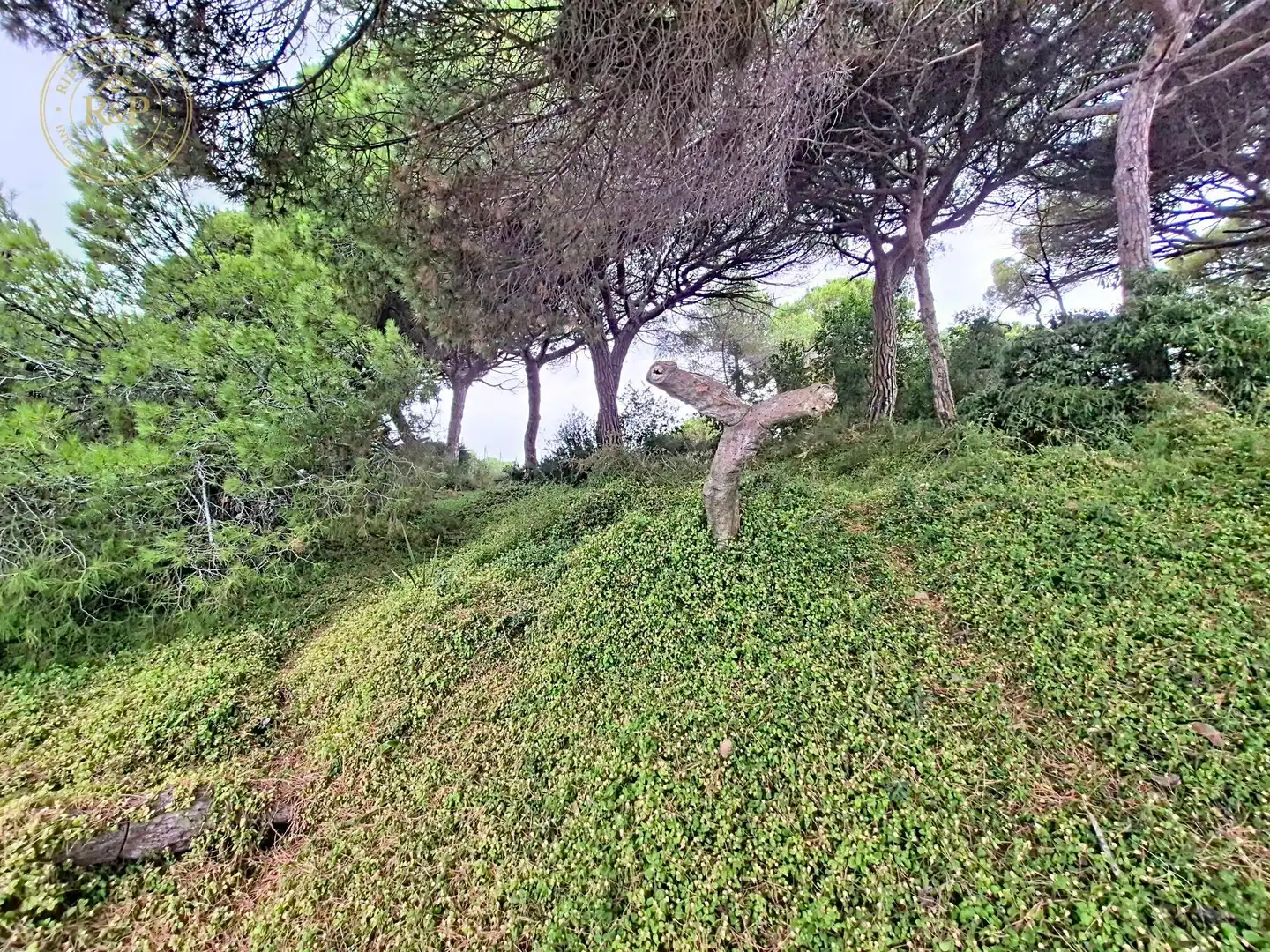 Terreno residenziale in vendita a Camino Vell de Caldes, imagen 11