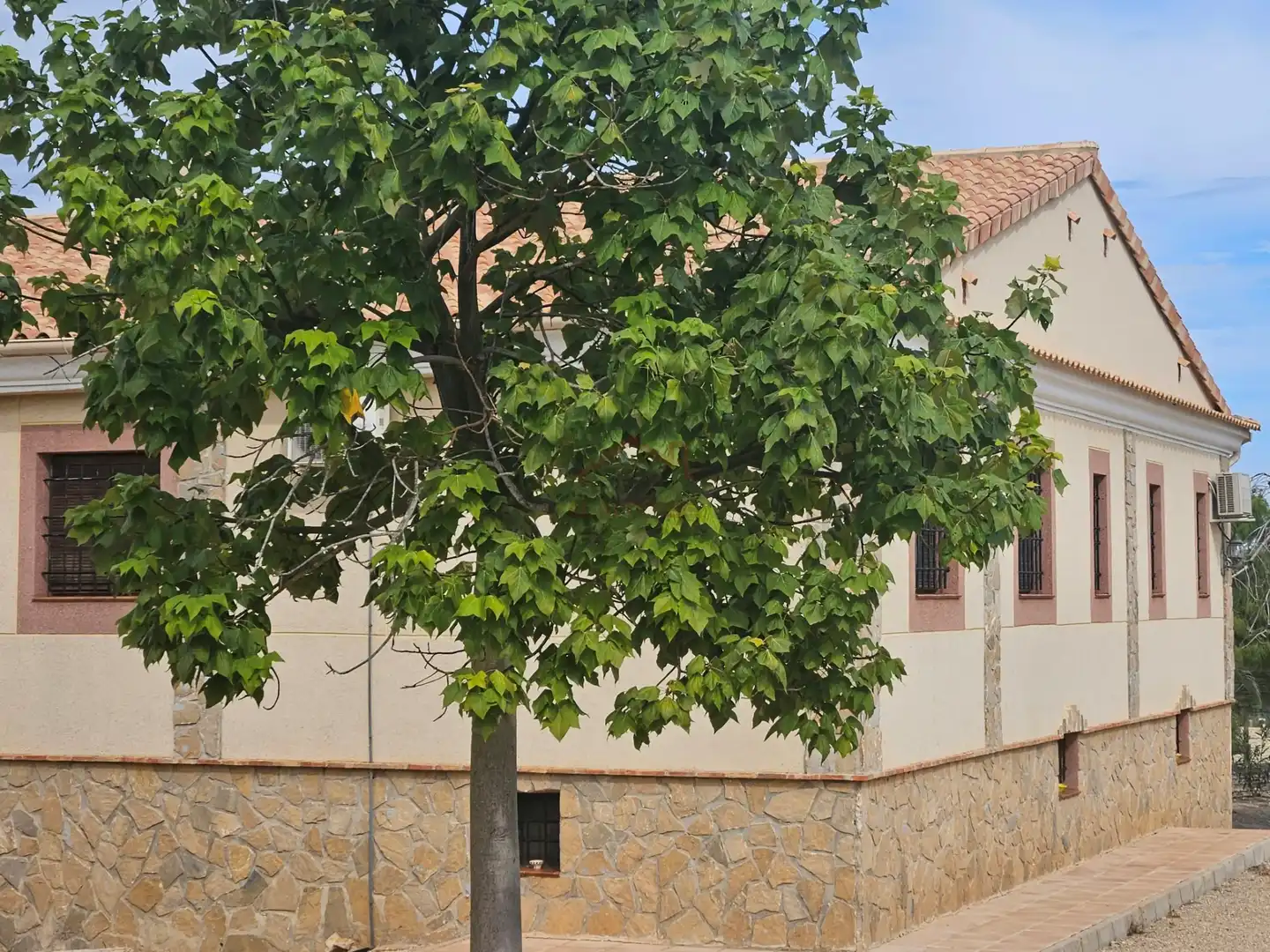 Detached house with terrace for sale in Calle Sierra Salinas, imagen 68