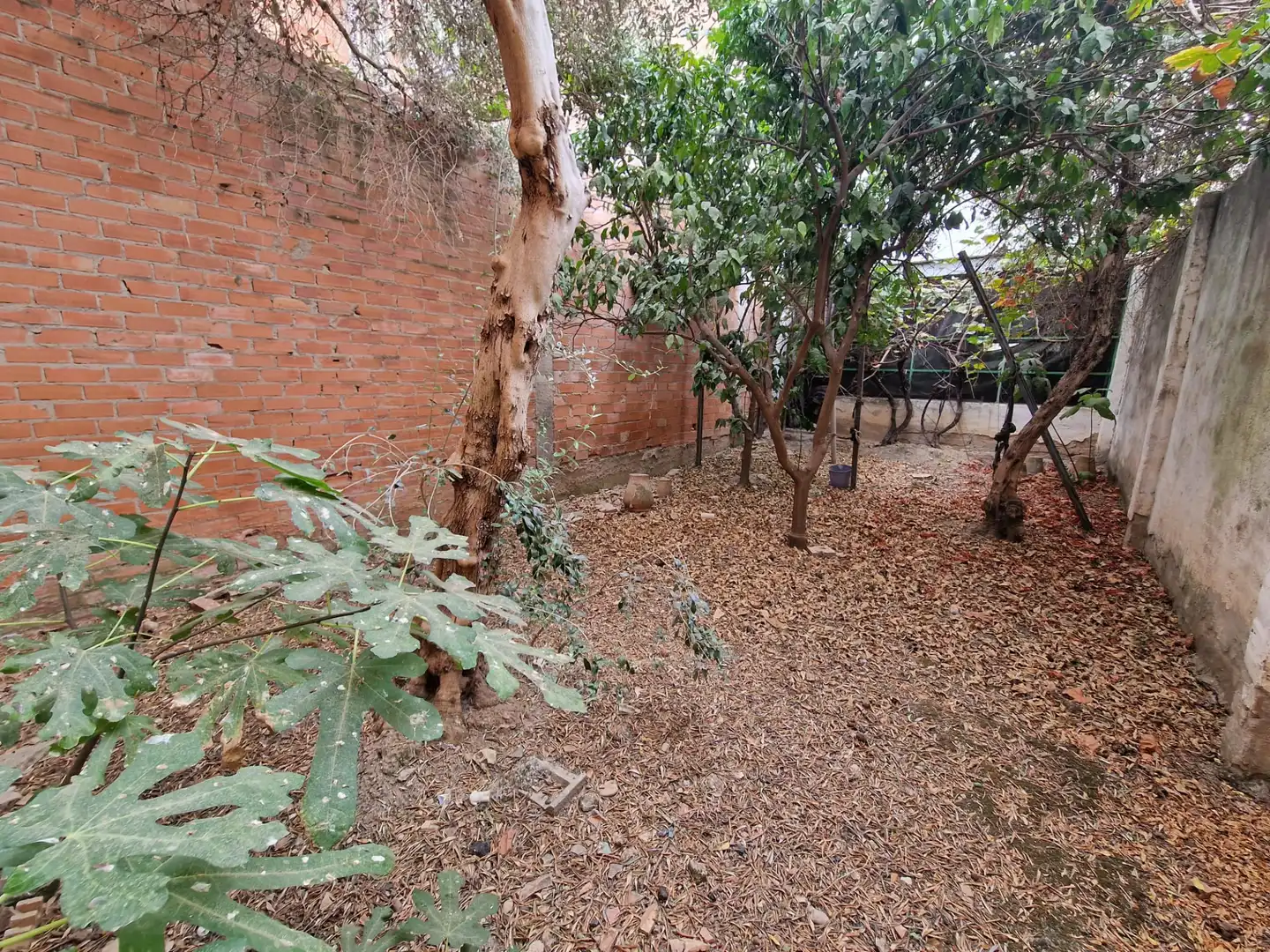 Casa en venda a Fernán-Núñez, imagen 4