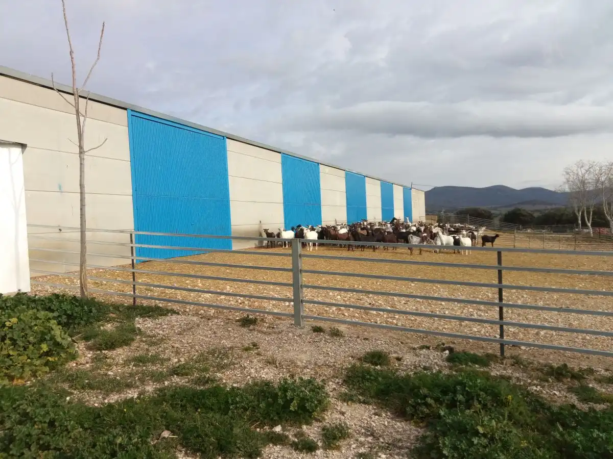 Finca rústica en venta en Fuente el Fresno