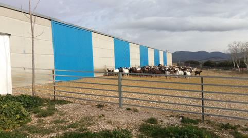 Foto 4 de Finca rústica en venda a Fuente el Fresno, Ciudad Real
