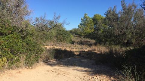 Foto 3 de Residencial en venda a Zona Àliga, El Perelló, Tarragona