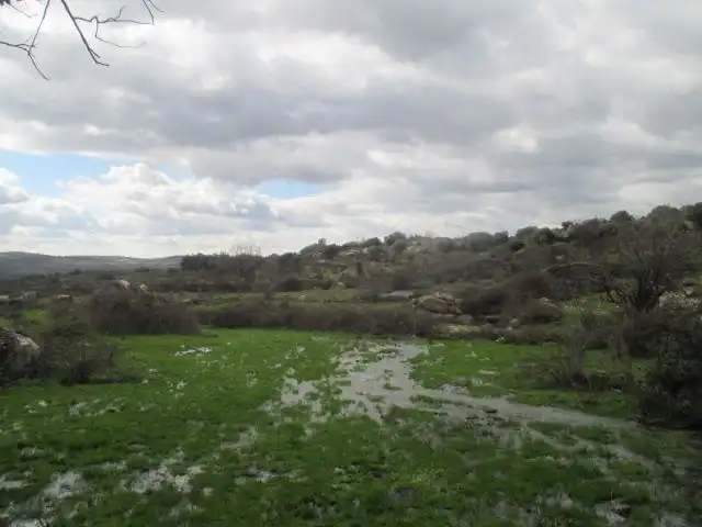 Country homes for sale in San Felices de los Gallegos