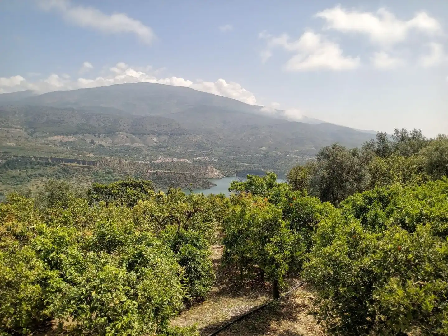 Terreni e lotti in vendita a El Valle, imagen 17