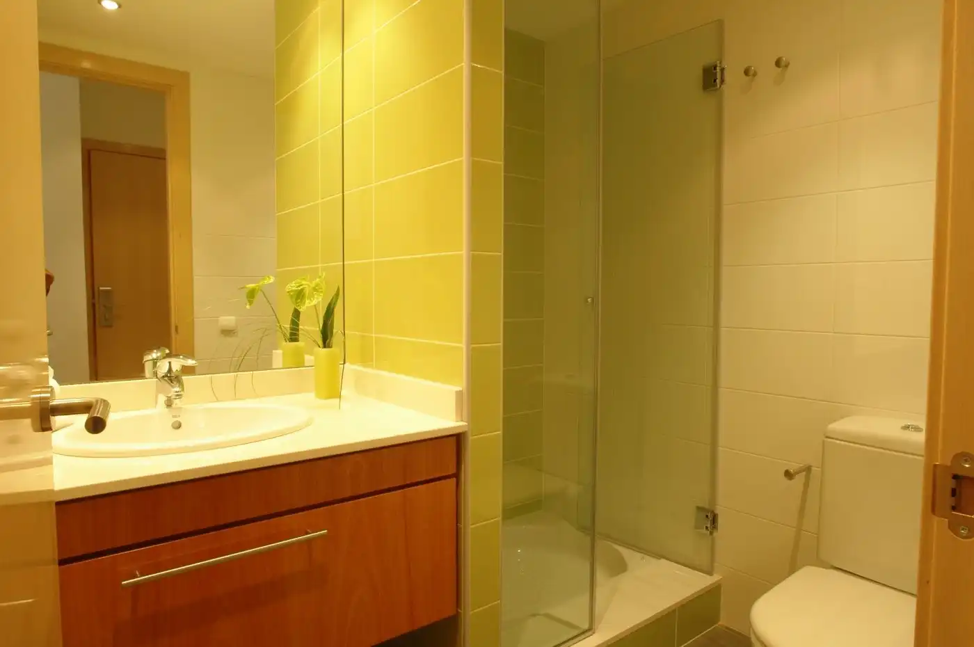 Bany de Apartament de lloguer en Igualada amb Aire condicionat i Moblat