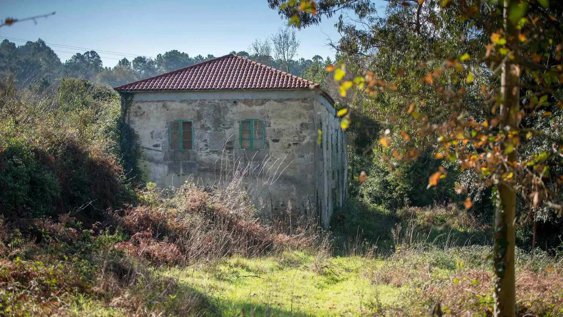 Vista exterior de Casa o chalet en venta en Cambre 