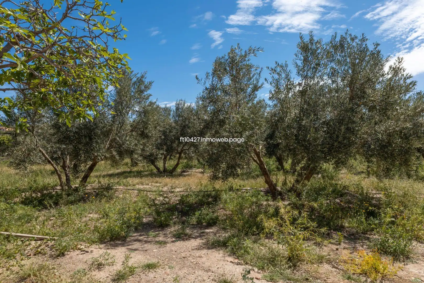Villa avec piscine à vendre à Guadix, imagen 25