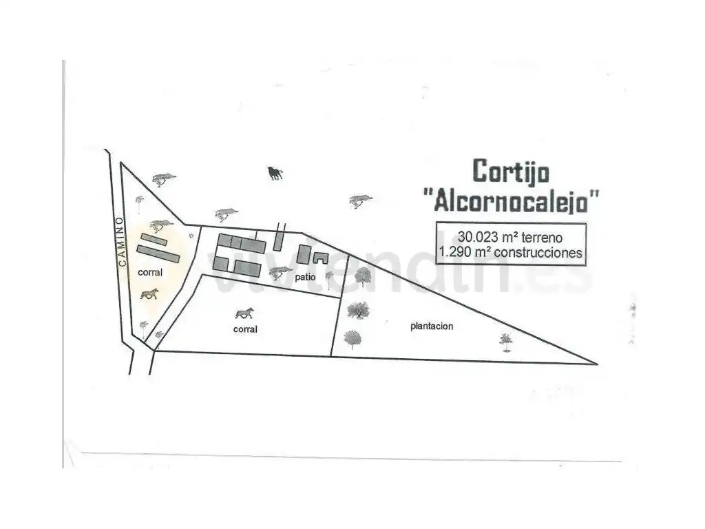 Rural land for sale in San José del Valle