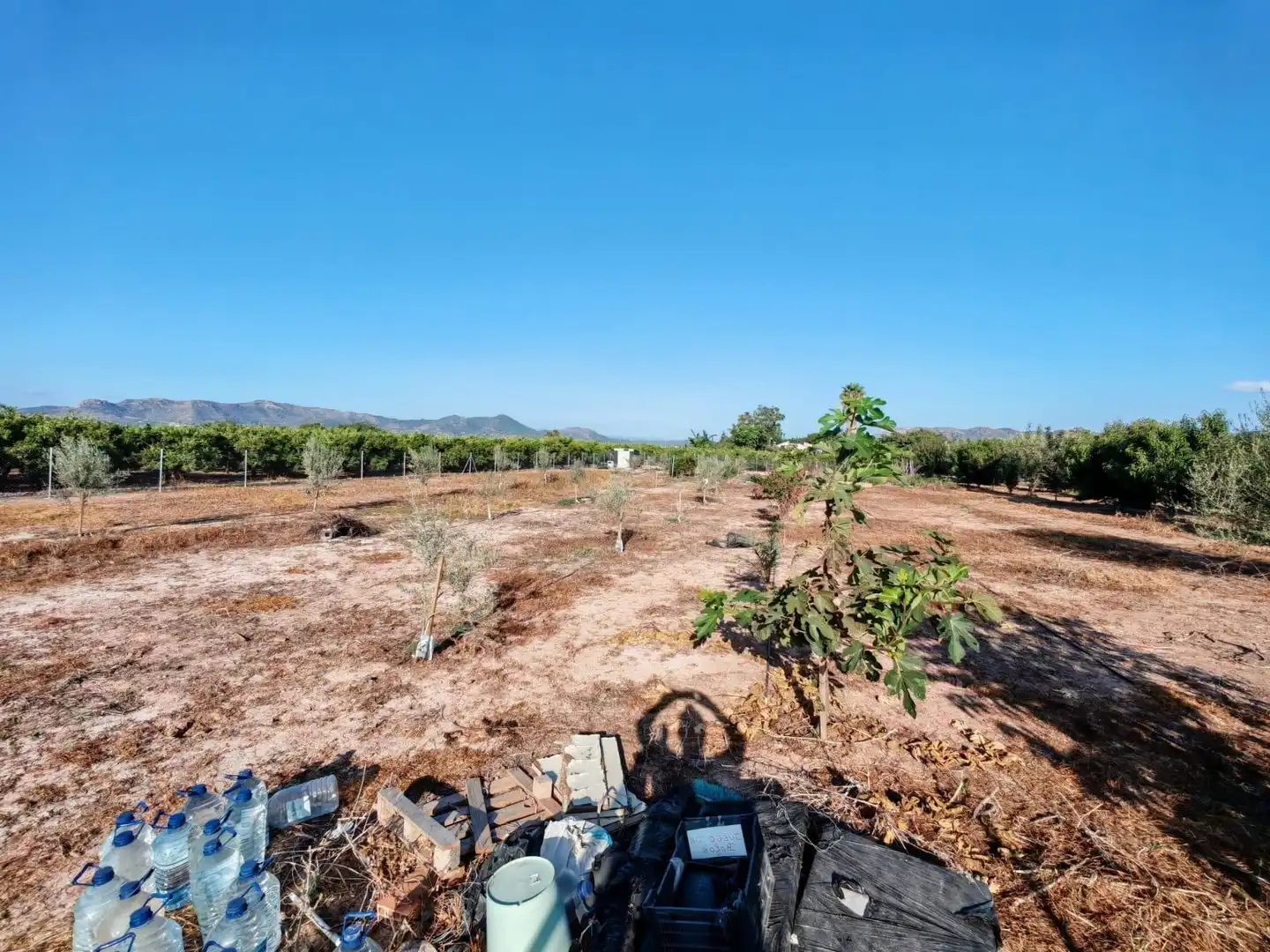 Rural land for sale in Benavites, imagen 9