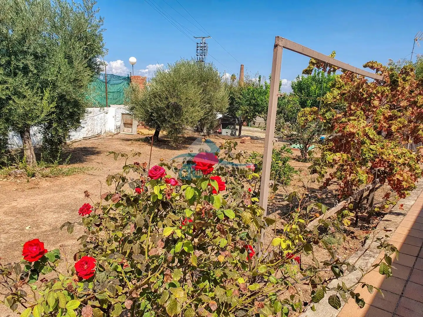 Casa o xalet en venda en Linares amb Jardí privat i Piscina