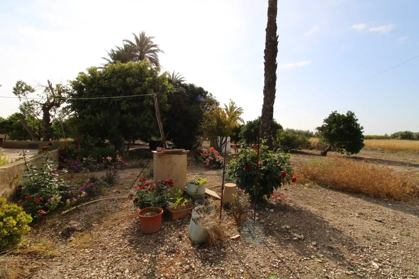 Villa con giardino in vendita a La Foia - Daimés - Asprella, imagen 47
