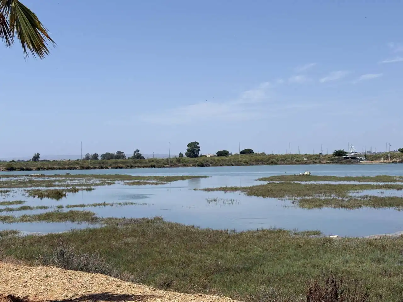 Local de alquiler en Ayamonte