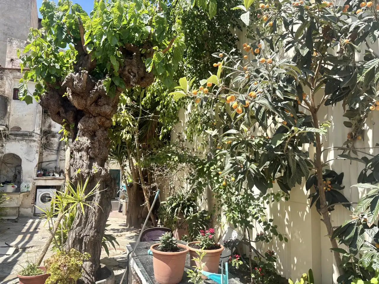 Villa avec terrasse à vendre à Centre, imagen 34