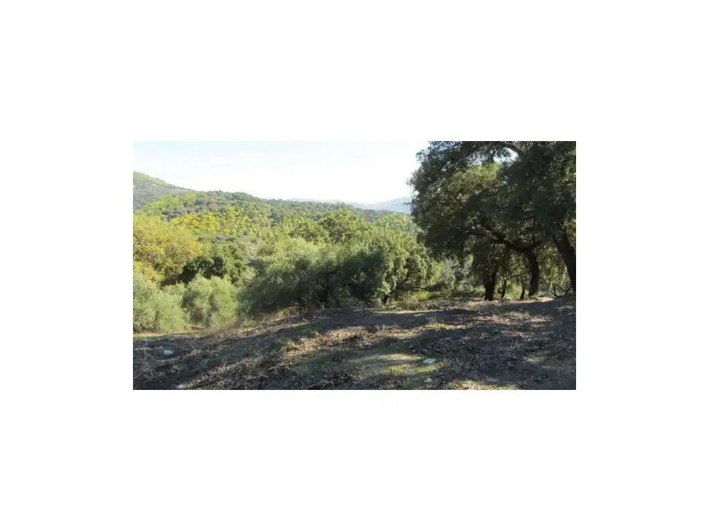 Houses for sale in Alpandeire