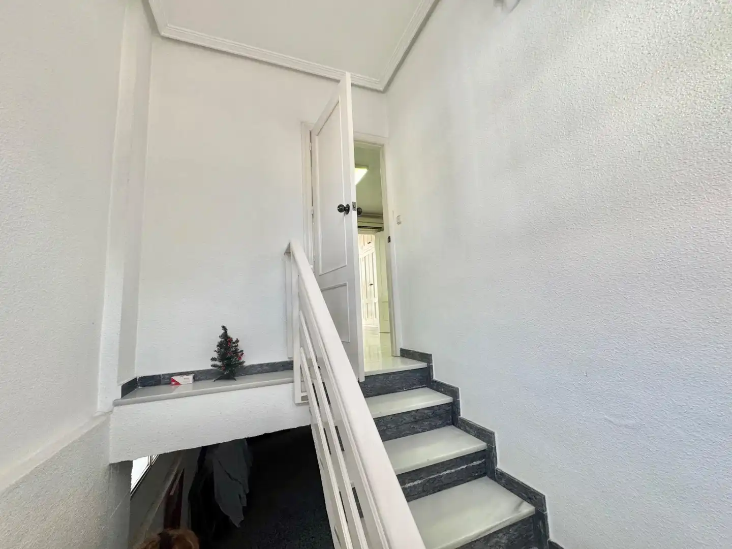 Chalet con jardín en venta en Calle DE FORTUNA, imagen 15