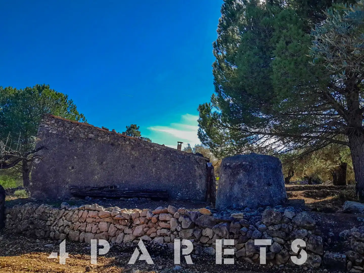 Rural land for sale in Cervera del Maestre, imagen 7
