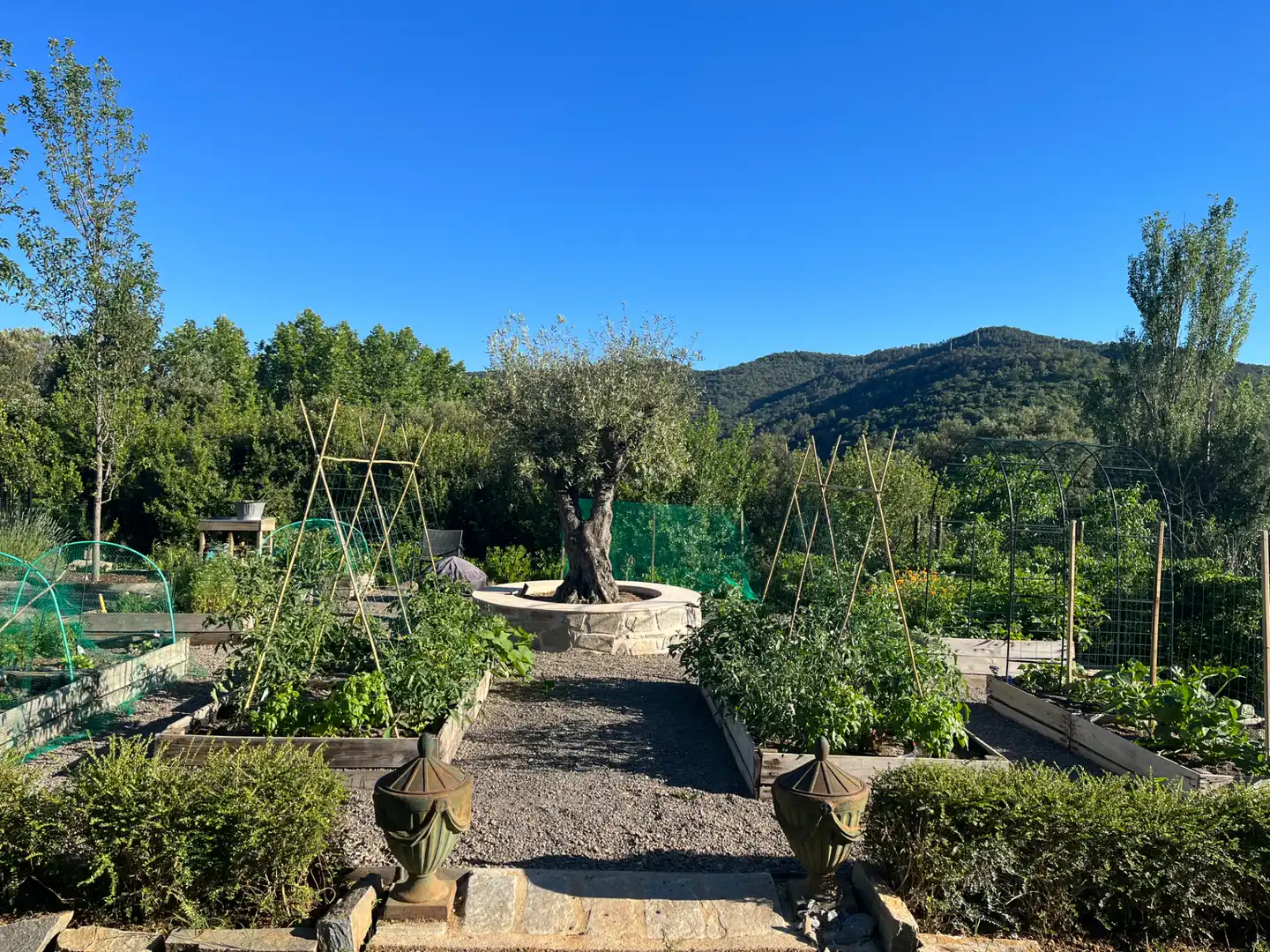 Jardín de Casa o chalet en venta en Sant Gregori con Aire acondicionado, Calefacción y Jardín privado