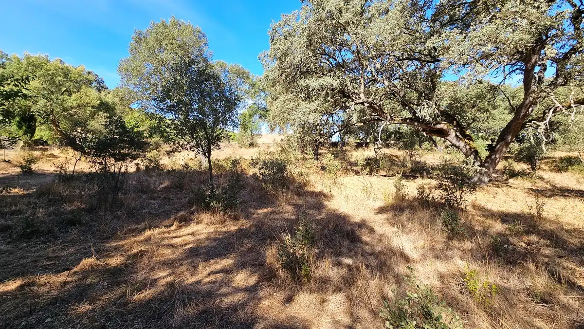 Terreno en venta en Los Marines