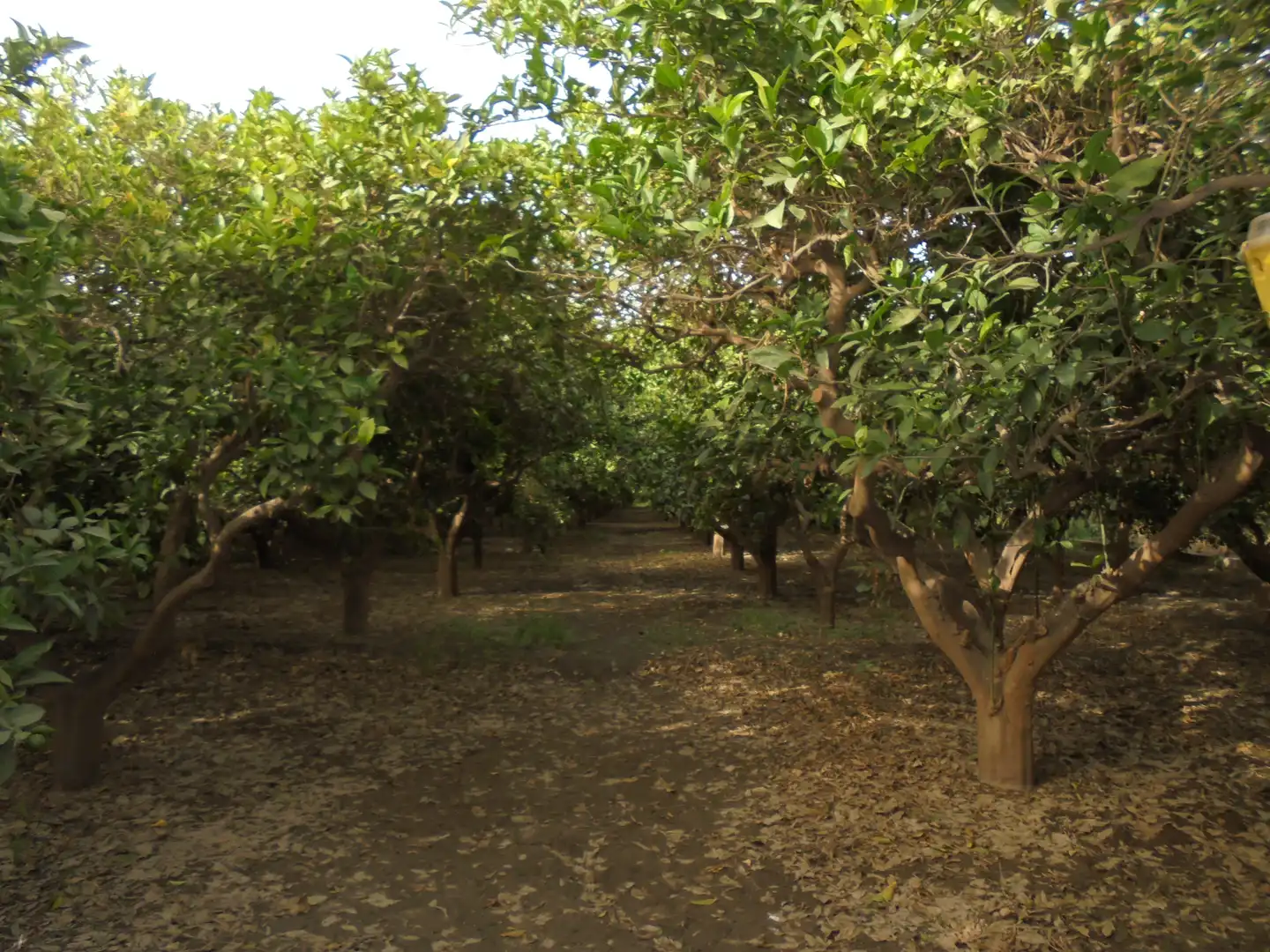 Terreno en venta en Rioja