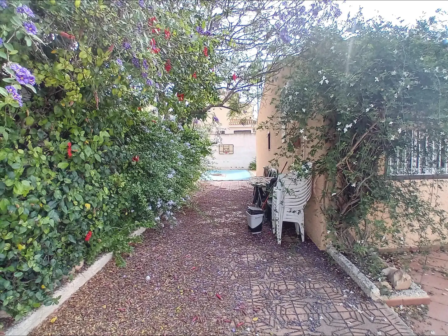Logement avec piscine à vendre à junco, imagen 18