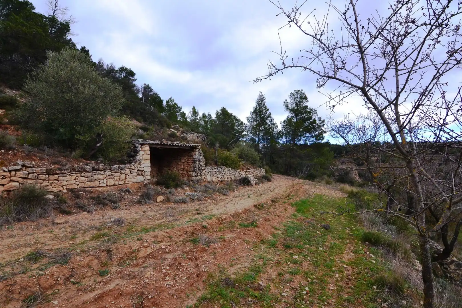Terreno en venta en Vilalba dels Arcs